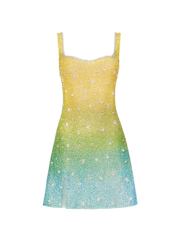 Tropical Gradient Mini Dress