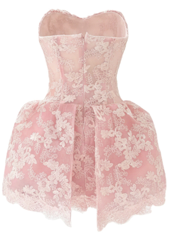 Strapless Lace A Line Dress Pink
