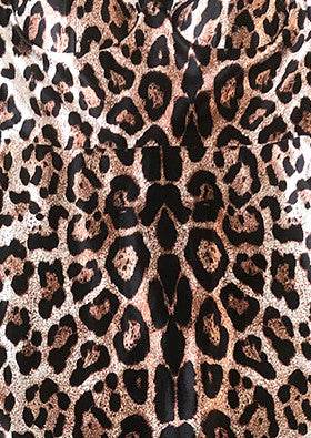Animal Print Bustier Midi Dress