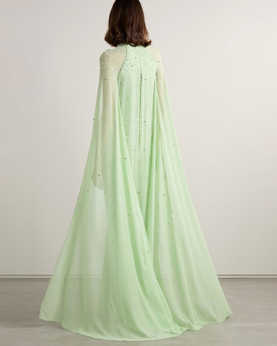 Cape-effect embellished georgette-trimmed tulle gown