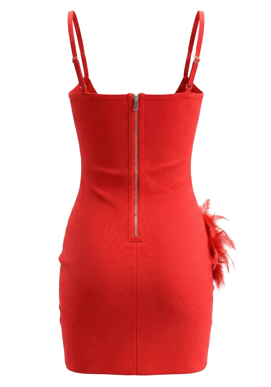 Crystal Feather Dress Red